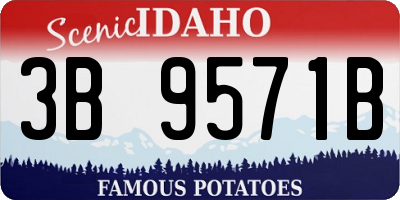 ID license plate 3B9571B