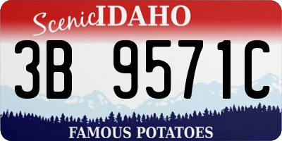 ID license plate 3B9571C