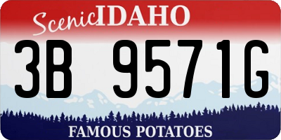 ID license plate 3B9571G