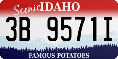 ID license plate 3B9571I