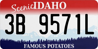 ID license plate 3B9571L
