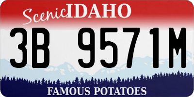 ID license plate 3B9571M