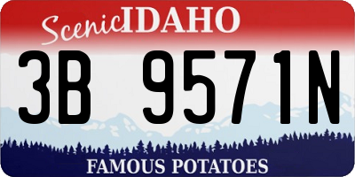 ID license plate 3B9571N