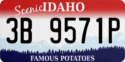 ID license plate 3B9571P