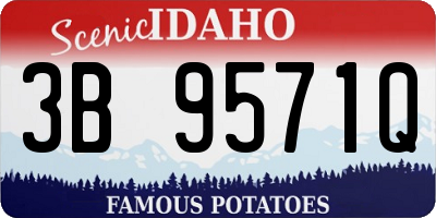 ID license plate 3B9571Q