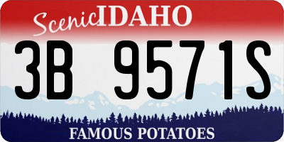 ID license plate 3B9571S