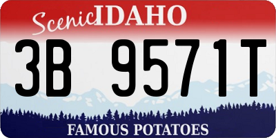 ID license plate 3B9571T