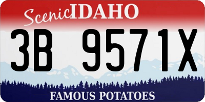 ID license plate 3B9571X