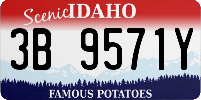 ID license plate 3B9571Y
