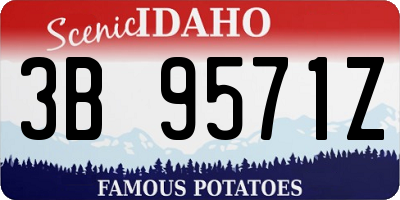 ID license plate 3B9571Z