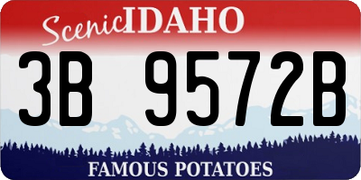 ID license plate 3B9572B