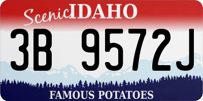 ID license plate 3B9572J