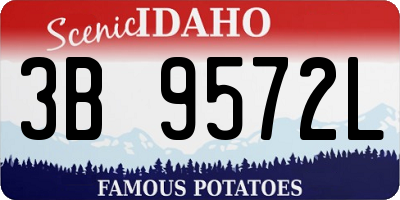 ID license plate 3B9572L
