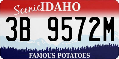 ID license plate 3B9572M
