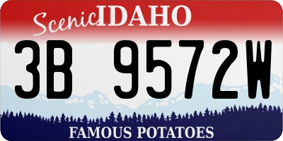 ID license plate 3B9572W