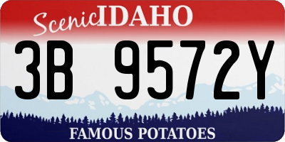 ID license plate 3B9572Y