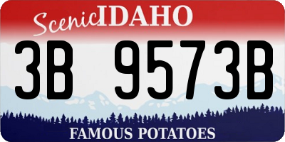 ID license plate 3B9573B
