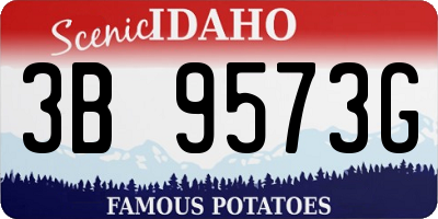 ID license plate 3B9573G