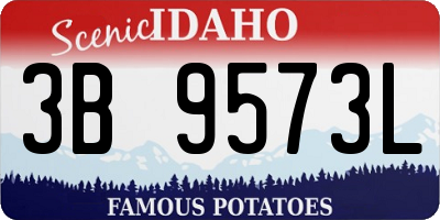 ID license plate 3B9573L