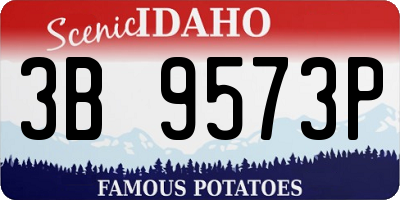 ID license plate 3B9573P