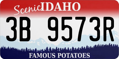 ID license plate 3B9573R