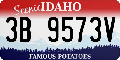 ID license plate 3B9573V