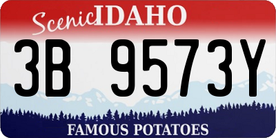 ID license plate 3B9573Y