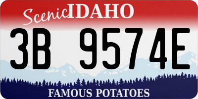 ID license plate 3B9574E