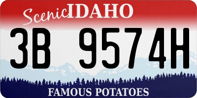 ID license plate 3B9574H