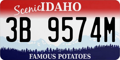 ID license plate 3B9574M