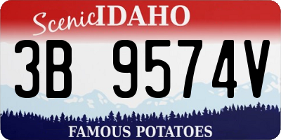 ID license plate 3B9574V