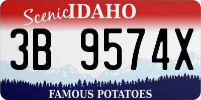 ID license plate 3B9574X