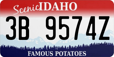 ID license plate 3B9574Z