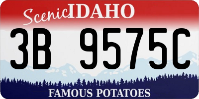 ID license plate 3B9575C