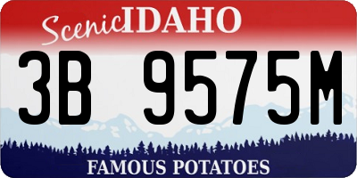 ID license plate 3B9575M