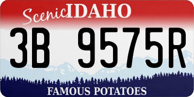 ID license plate 3B9575R