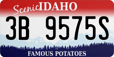 ID license plate 3B9575S