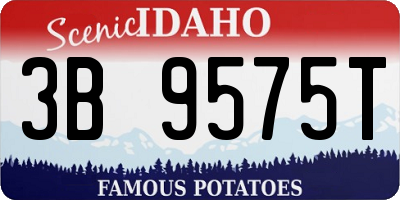 ID license plate 3B9575T