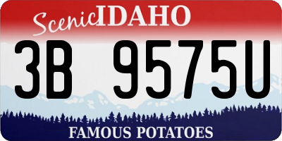 ID license plate 3B9575U