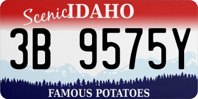 ID license plate 3B9575Y