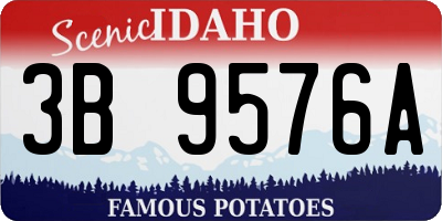 ID license plate 3B9576A