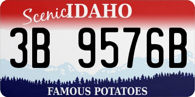 ID license plate 3B9576B