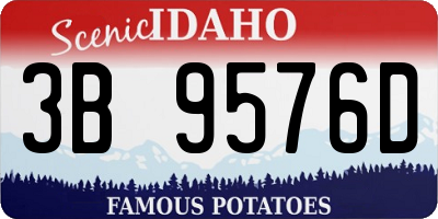 ID license plate 3B9576D