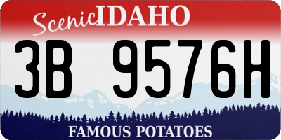 ID license plate 3B9576H