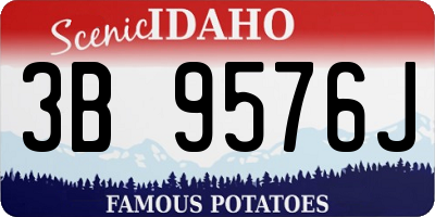 ID license plate 3B9576J