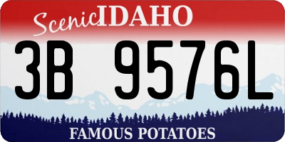 ID license plate 3B9576L