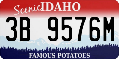 ID license plate 3B9576M