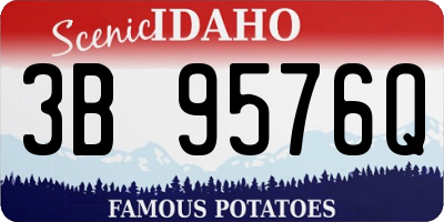 ID license plate 3B9576Q