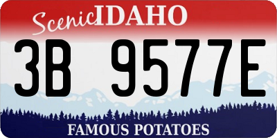 ID license plate 3B9577E