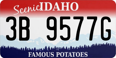 ID license plate 3B9577G